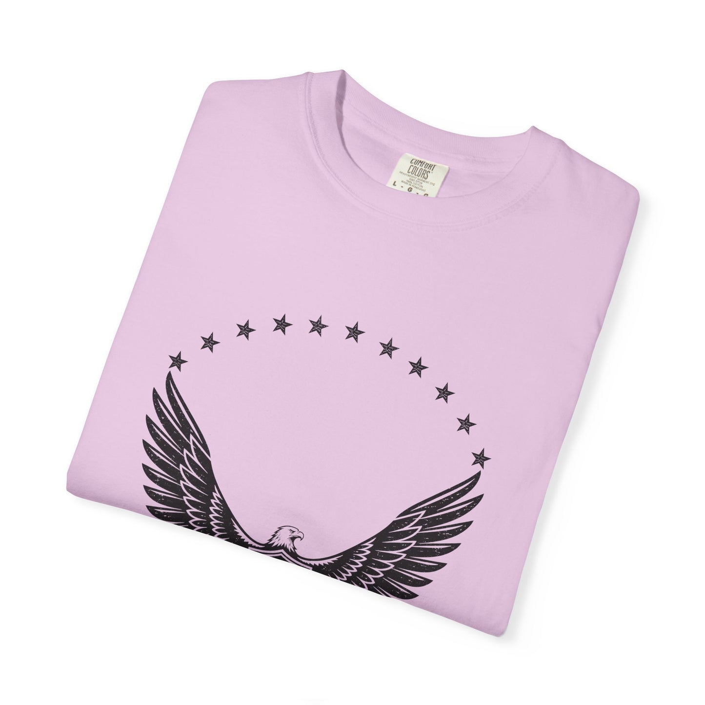 Freedom Stands Tall Eagle T-Shirt — 1776 Patriotic Tee