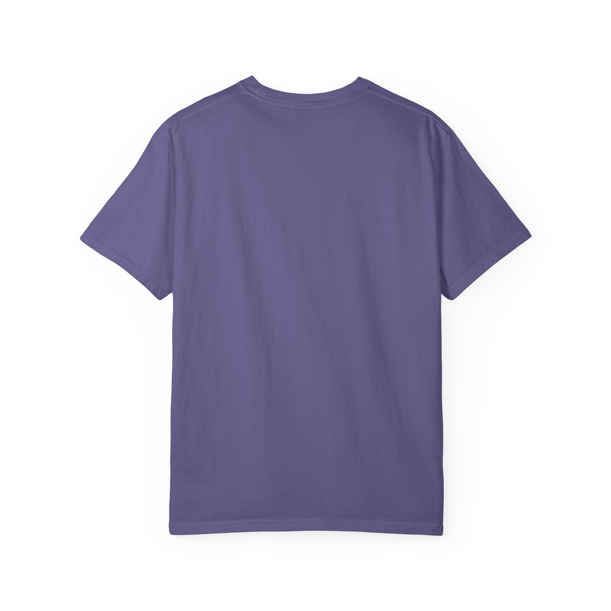 Pledge of Allegiance American Flag T-Shirt