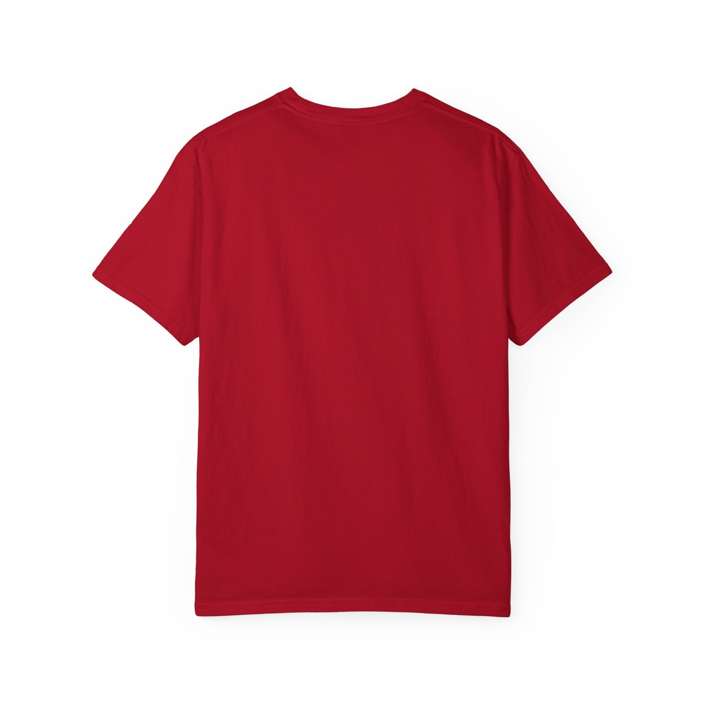 Freedom Never Fades T-Shirt — Vintage Eagle Shield Patriotic Tee (Est. 1776)