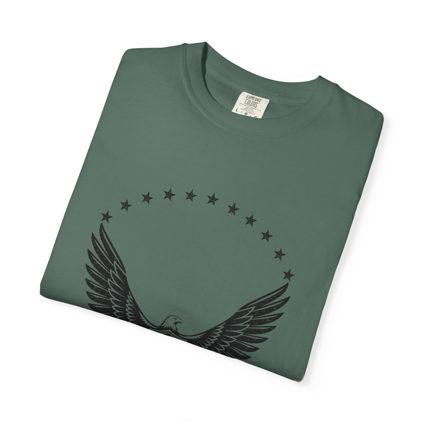 Freedom Stands Tall Eagle T-Shirt — 1776 Patriotic Tee