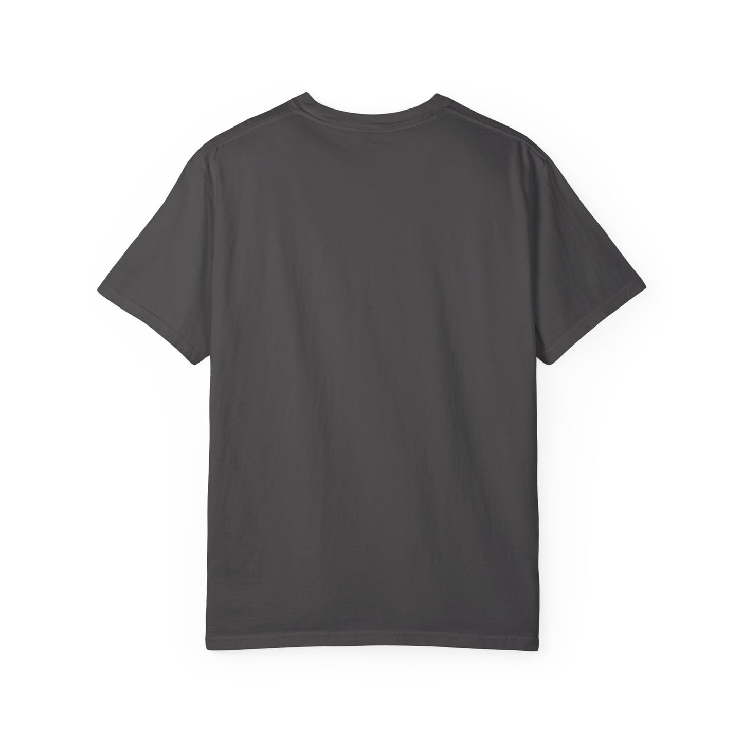 Stars13stripeS Shield T-Shirt — Freedom Built USA Heritage Tee